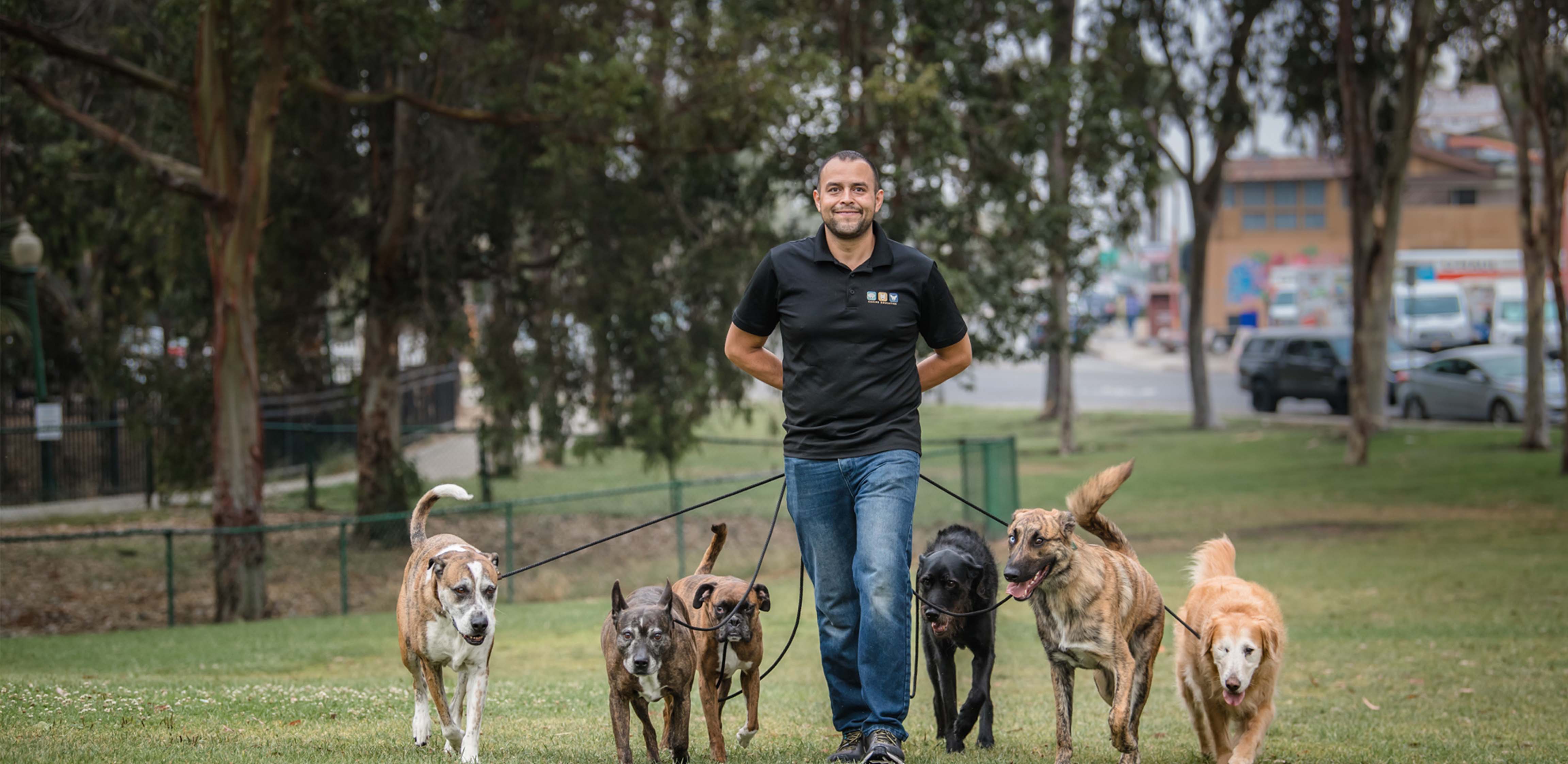 fernando san diego dog trainer, owner of canine education